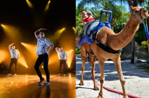 Dance show and camel ride