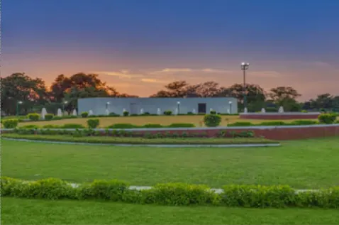 Lawn at sunset