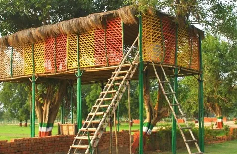 Tree house