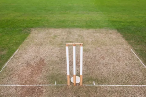 Cricket pitch